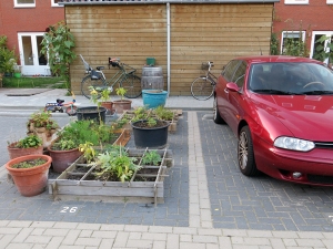 Een vrolijke oplossing van een eigenaar van een parkeerplaats, maar zonder auto.