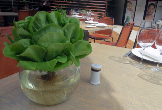 Op de tafels van het restaurant Las Raices staan kroppen sla in hydrocultuur.